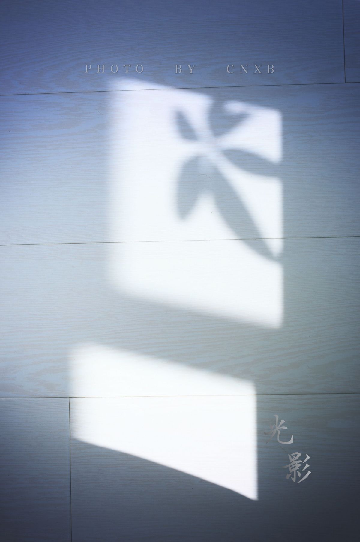 十二星座智商最高的五大星座,智商高却不会玩心机的星座