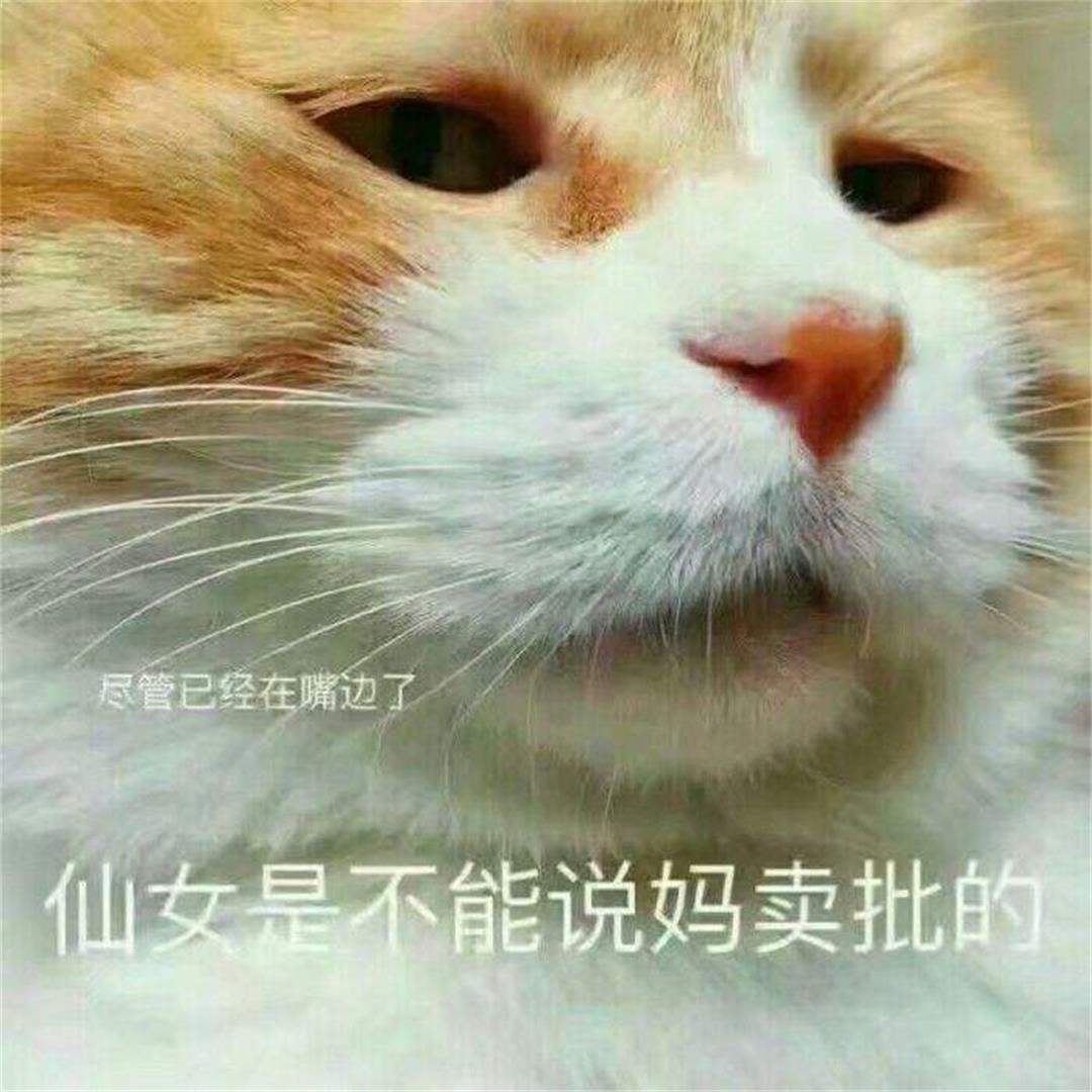 为什么猫怕人,为什么猫咪会怕铲屎官挂了