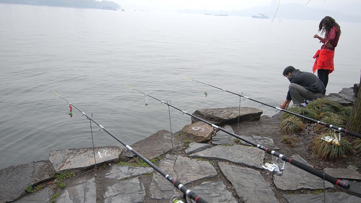 钓鱼人注意了，这六种垂钓行为，四种用饵被纳入监管，禁止使用！