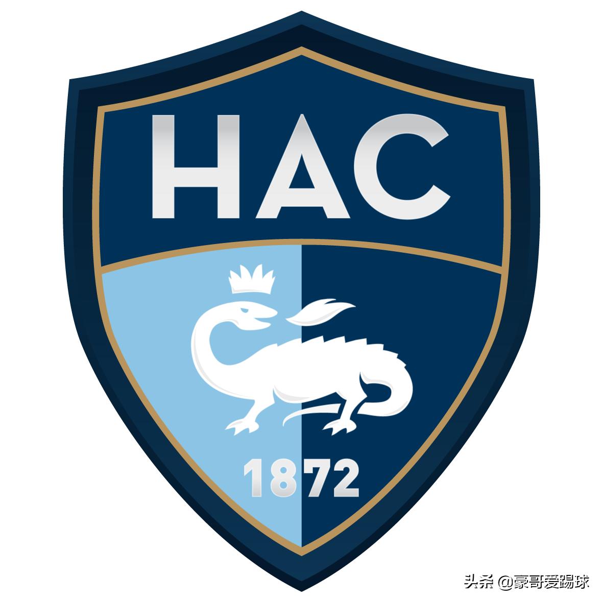 fm2020足球经理,fm足球经理2024萌新
