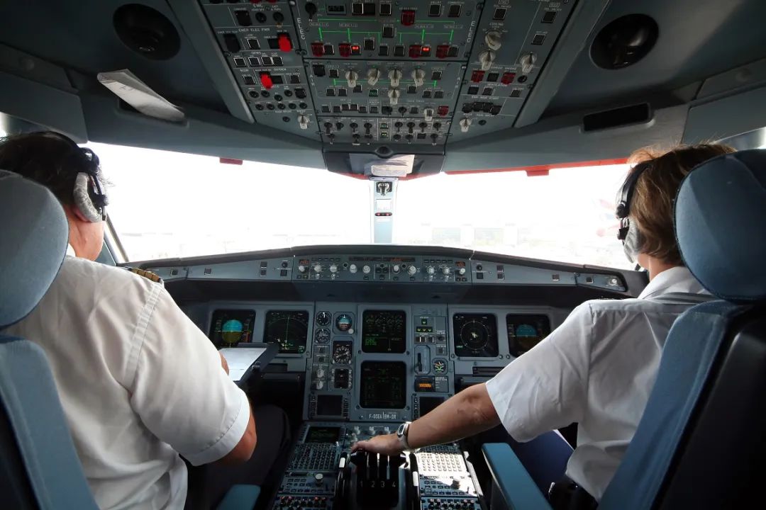 纽航空乘,纽航空姐失业后视频