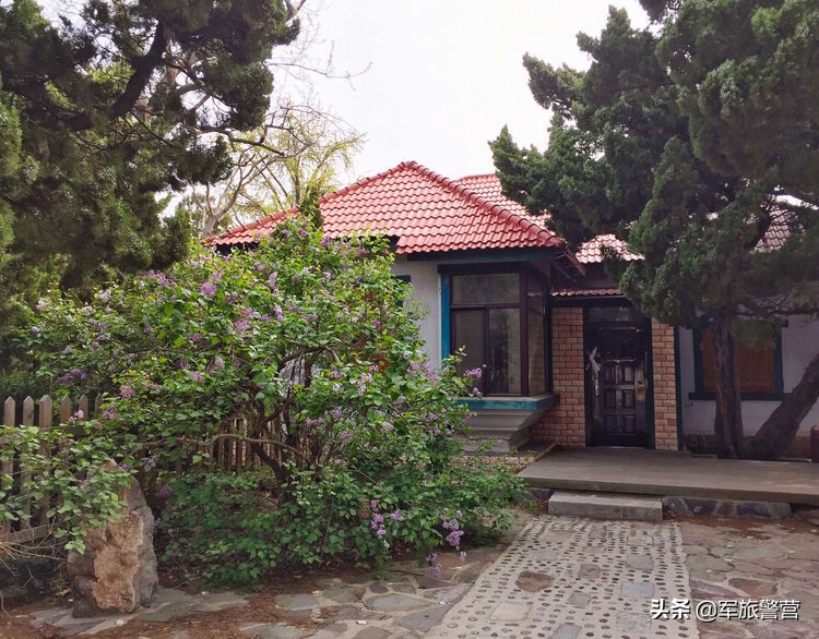 大连八七疗养院战友,大连市八七疗养院的故事