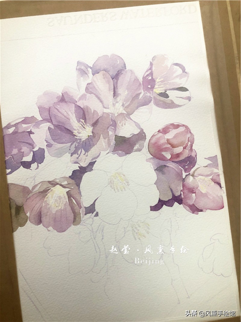 美丽的水彩樱花,水彩樱花图