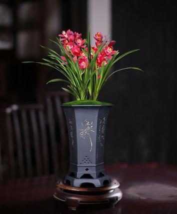 它是兰花中的“开花机器”，一年开3次，花味香浓，花色火红喜庆