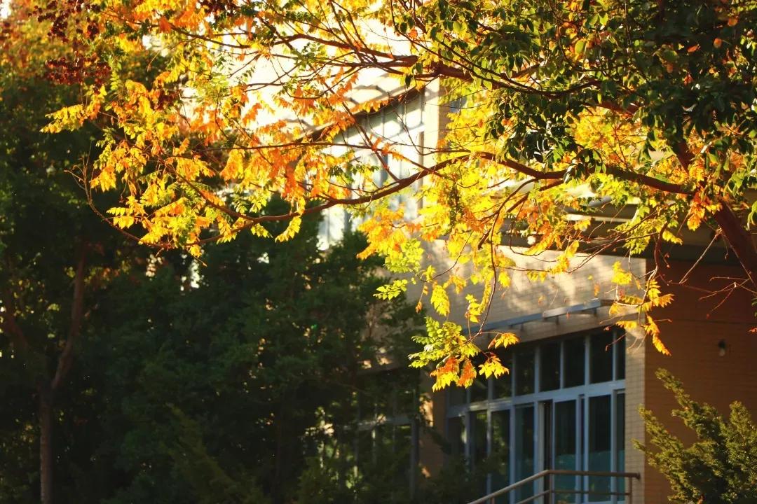 辽宁省高校（三十二）大连外国语大学