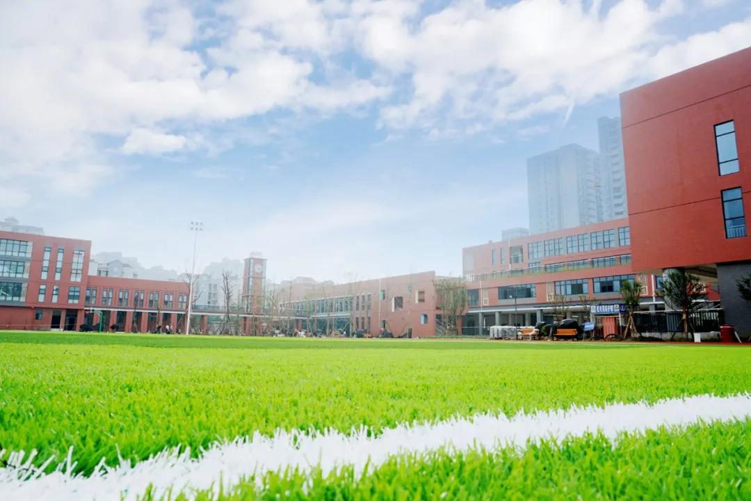 新都泰兴镇新建小学,新都新增小学