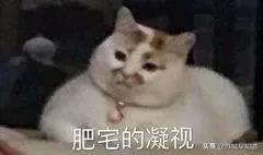 苏州体育馆免费开放,苏州市文化馆开馆时间