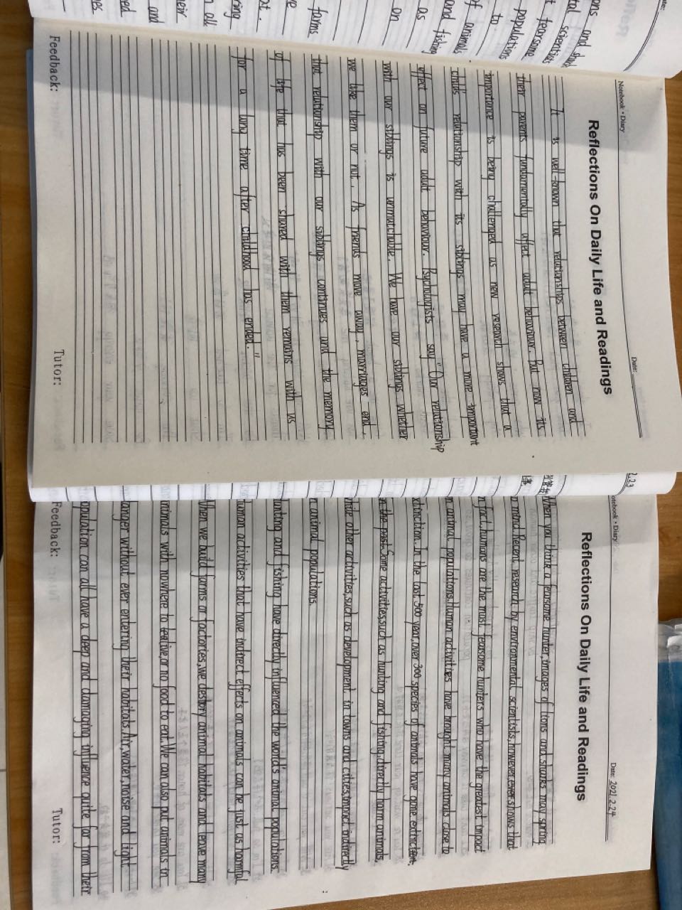 No.191 ,02-25首场春雨劲头齐体育课赏TED
