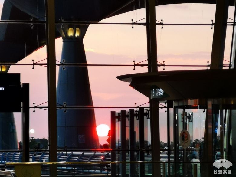 必须为亚航餐饮打call！椰浆鸡肉饭太惊艳了，真正的物美价廉