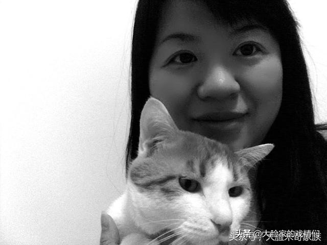 你这样的白橘猫，叫我怎能不爱？