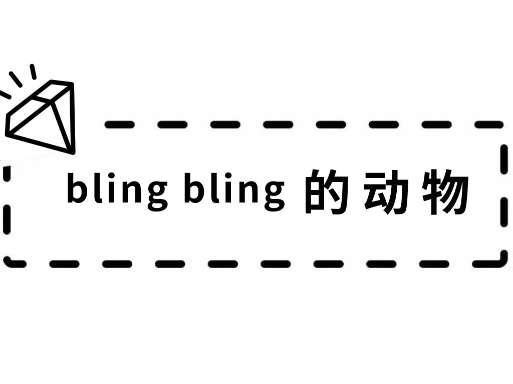 万物皆可「施华洛世奇」！大概没有这个妹子造不出的blingbling