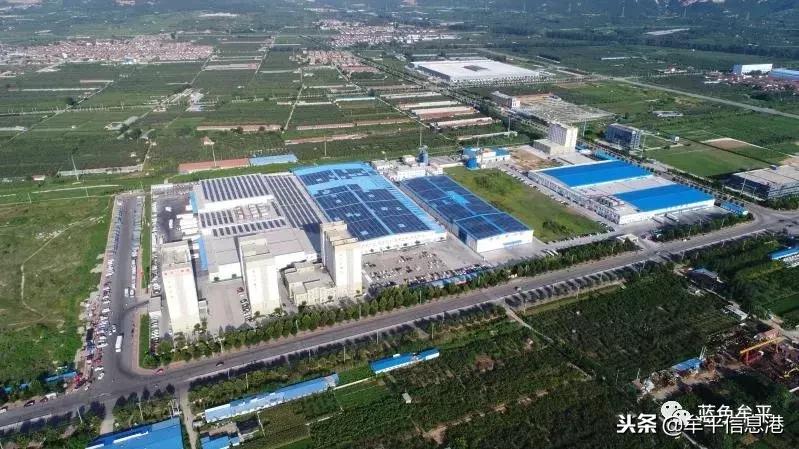 牟平仙坛集团有限公司,牟平仙坛股份