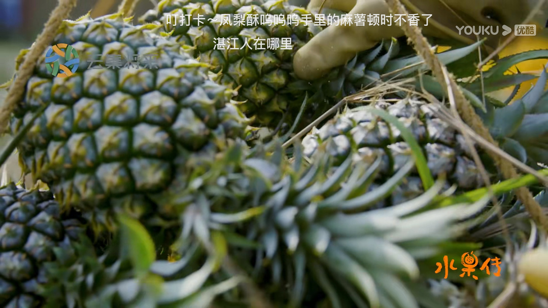 一起来看水果传——爱玉子，可可，嘟柿，你都见过吗？
