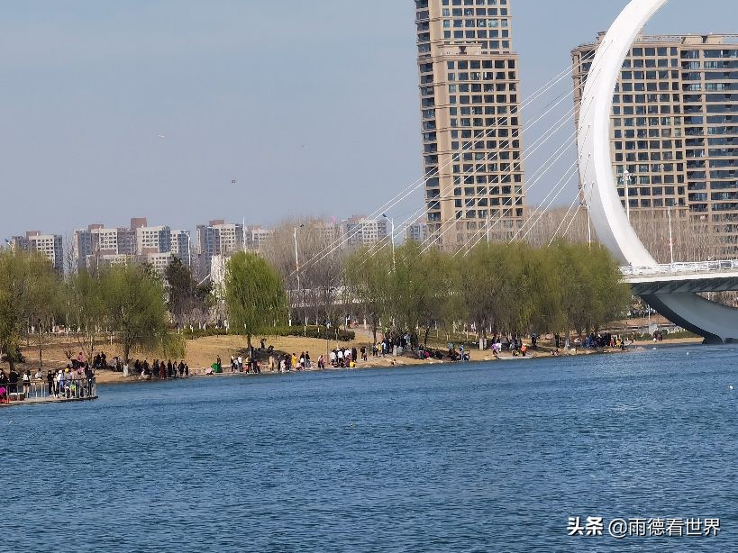 河南郑州蝶湖公园,打卡郑州网红蝶湖森林公园