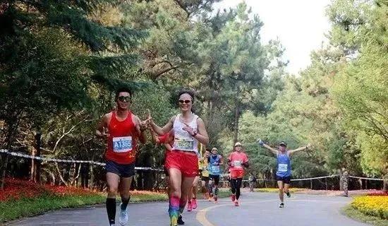 沙滩露营音乐会,阳光沙滩露营音乐会