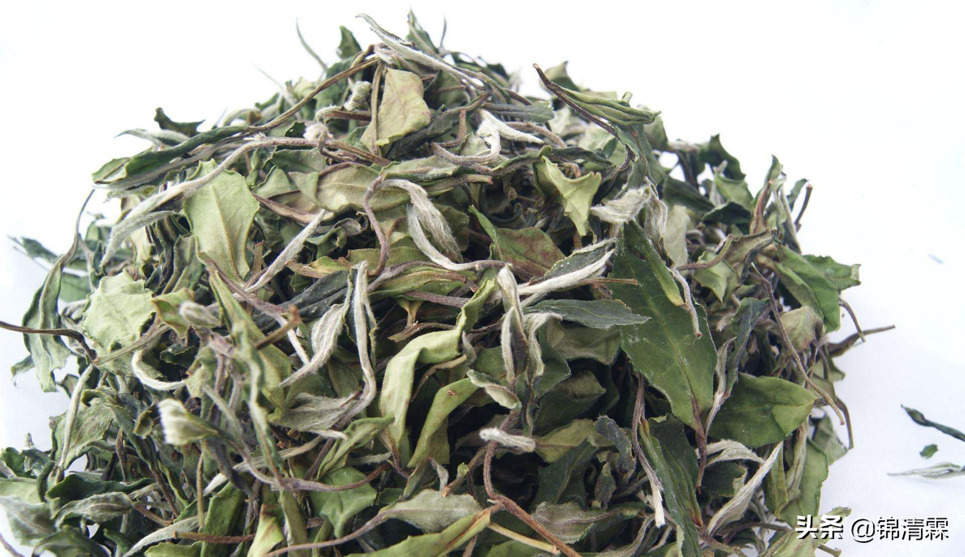 白茶的九大特点,白茶应该什么味