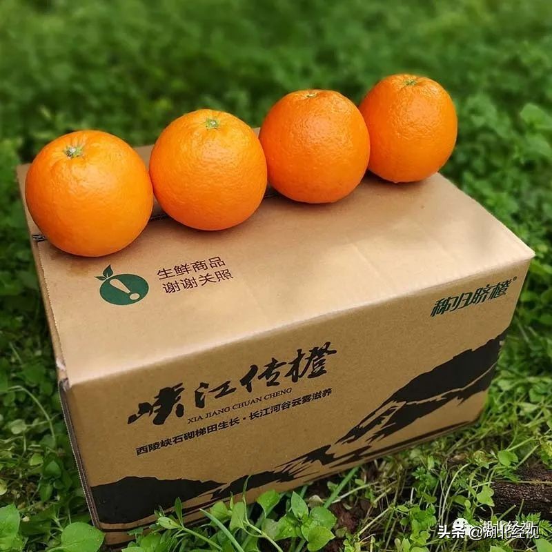 经视优选，低价好货！这个五一，我们继续！春风十里，带“鄂”出圈！