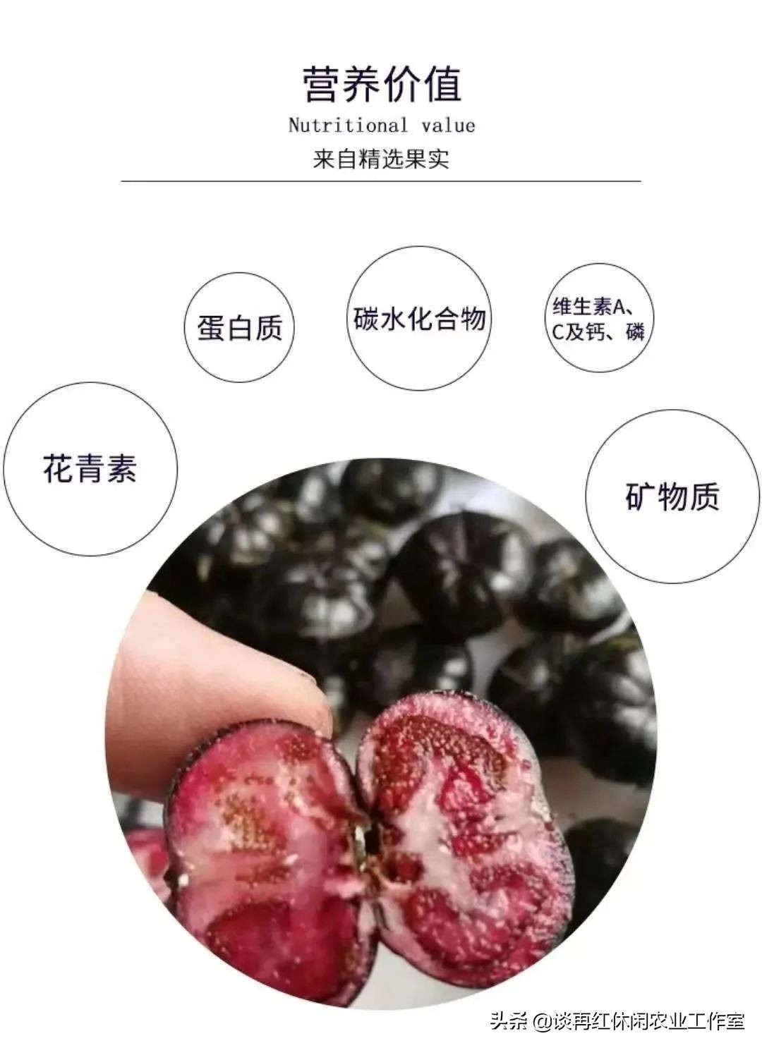 云南红果参一亩产多少斤,四川内江红果参多少钱1斤