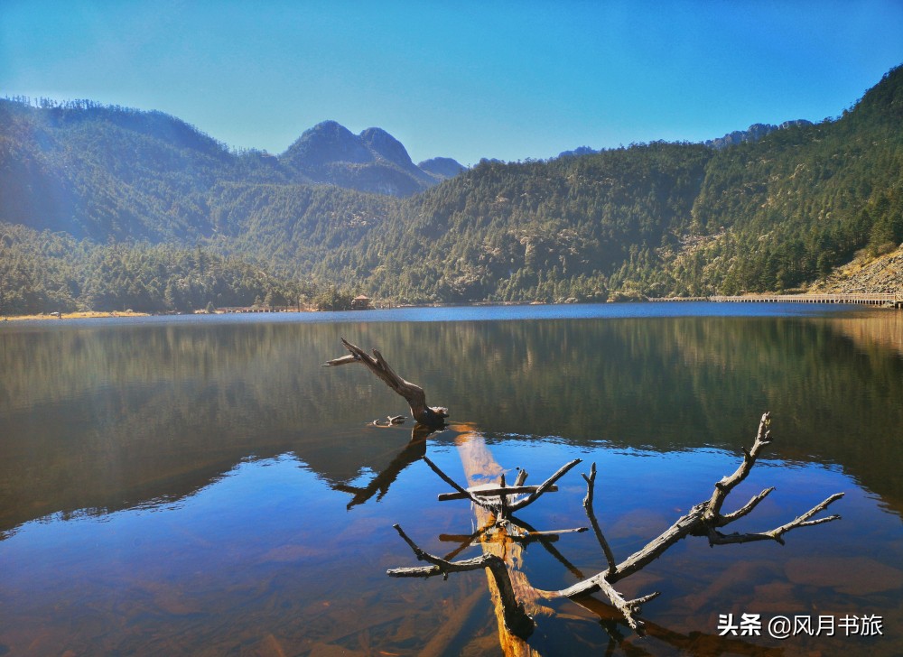 西昌山火肆虐过后救火者,西昌木里救火英雄