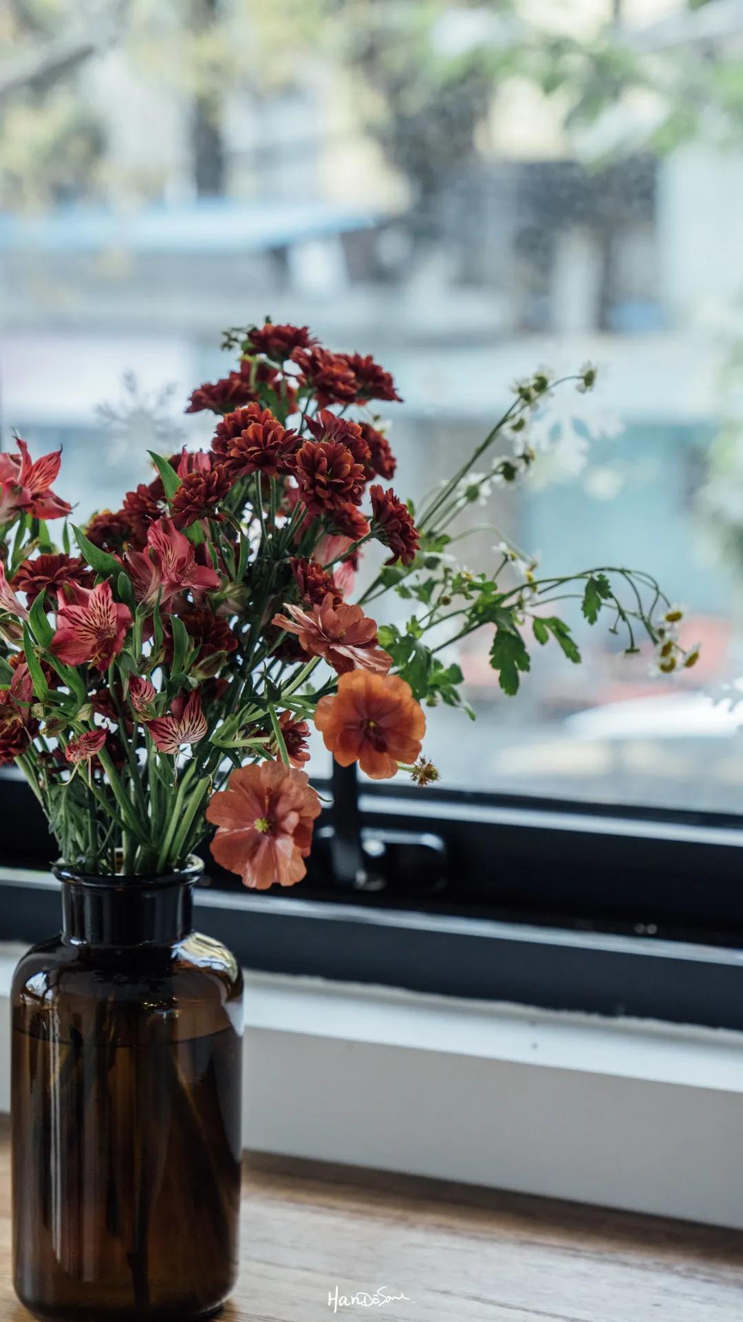 台北路一带到底有多少家咖啡店？