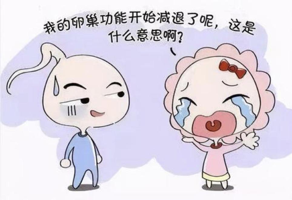 卵巢功能减退怎么备孕,失眠与卵巢功能减退关系
