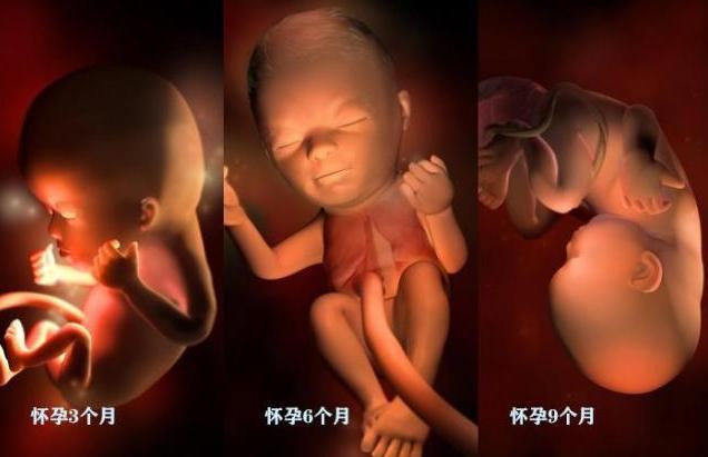怀孕3到6个月时的反应,怀孕3个月和4个月的宝宝区别