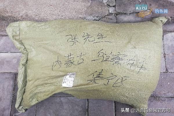 小黄面好用品牌,自制小黄面饵料