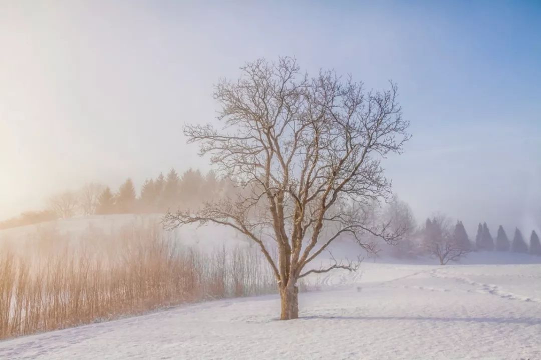 关于小雪的唯美诗句,冬日小雪的诗句