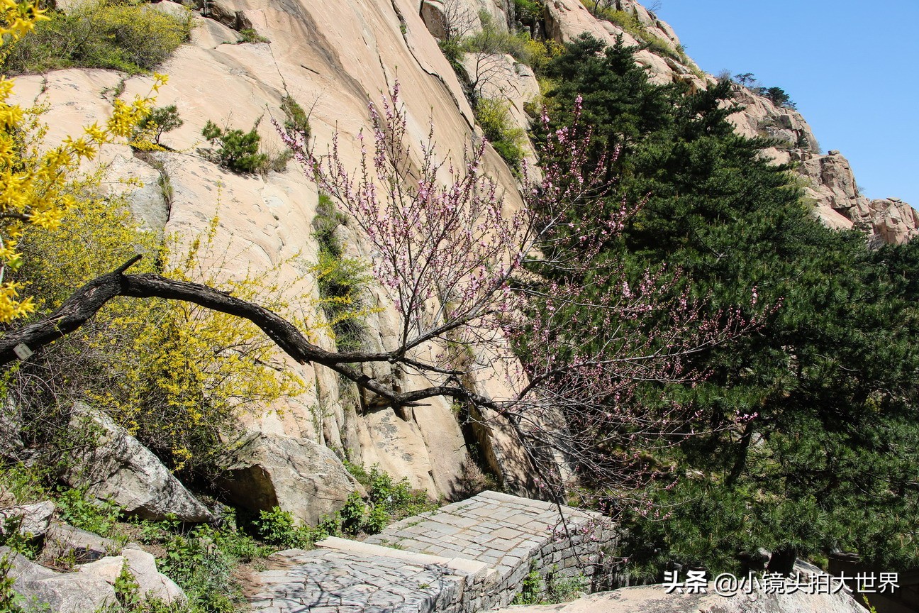 泰安泰山区天烛峰路,山东泰安泰山风景区天烛峰
