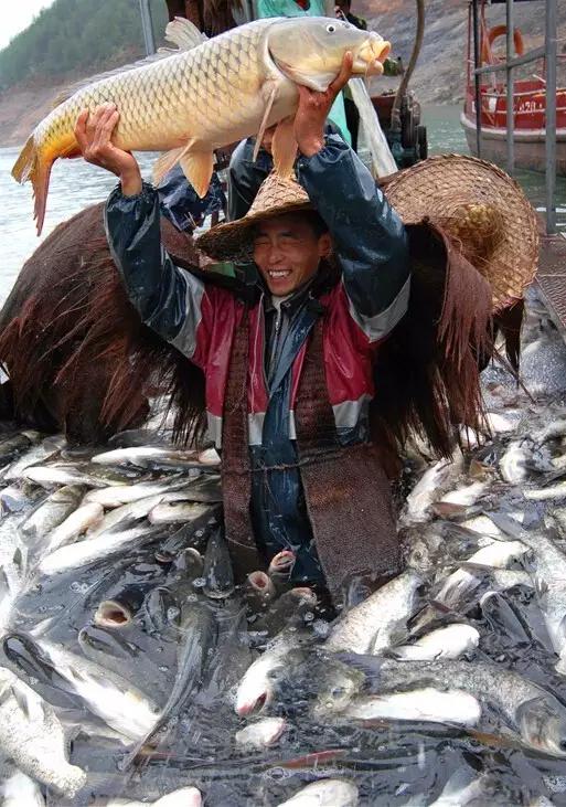 鄱湖之滨鱼米之乡,江西鄱阳湖