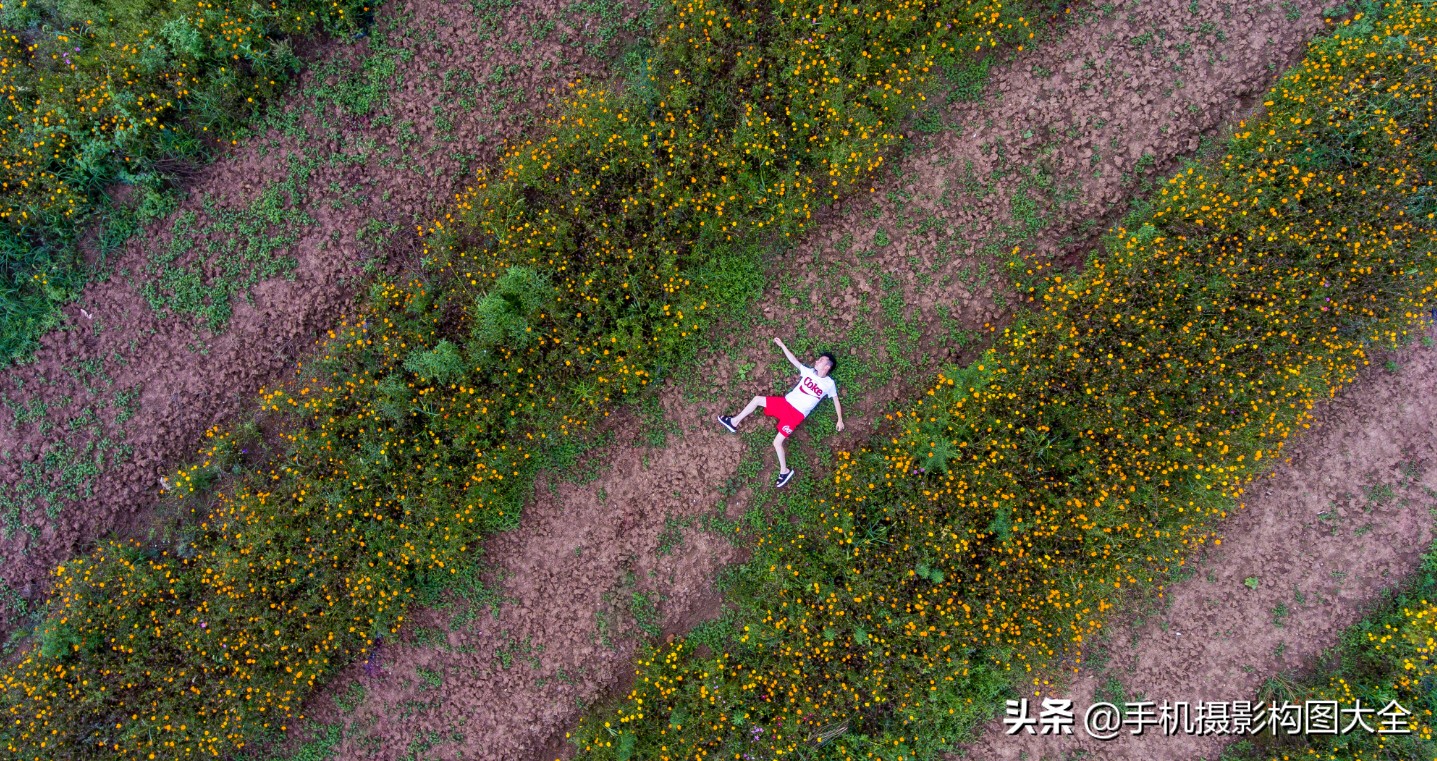 摄影姿势大全教程,科普摄影技巧与作品欣赏