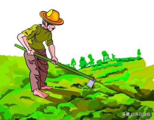 2021年是寡年，俗话：“寡年不见春，地收人不收”，什么意思
