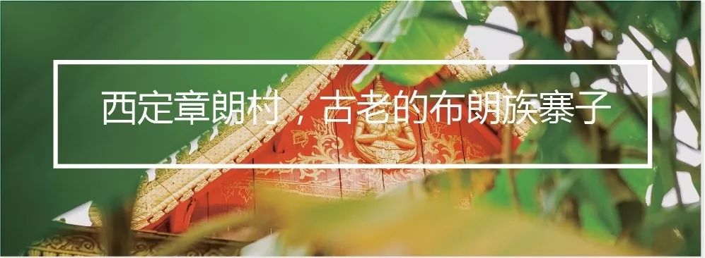 去西双版纳旅居攻略,西双版纳旅居详细攻略