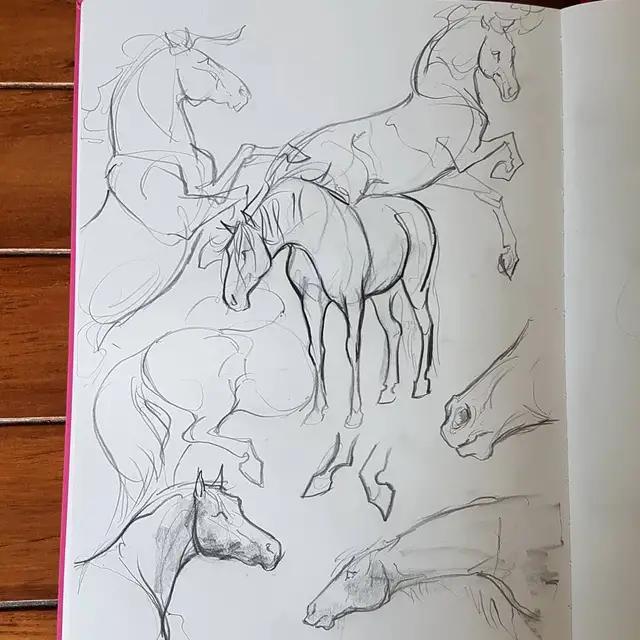 速写简笔画马,画速写不需要临摹