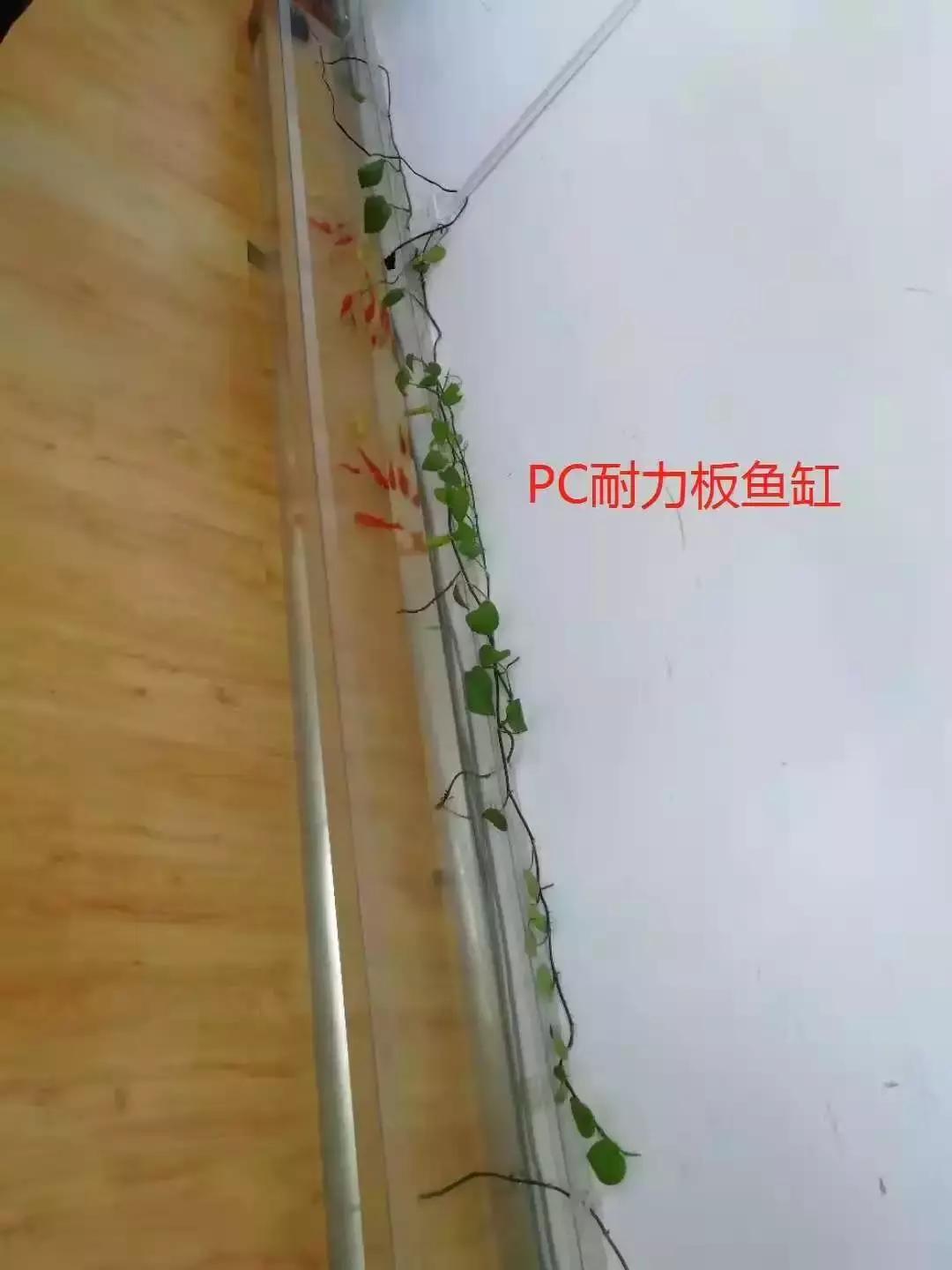 耐力板做办公室隔断,办公室装修用净化板