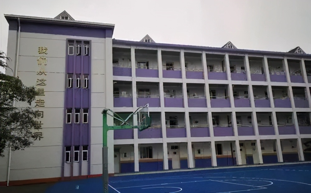 闵行鸡血学校,上海最鸡血的国际学校