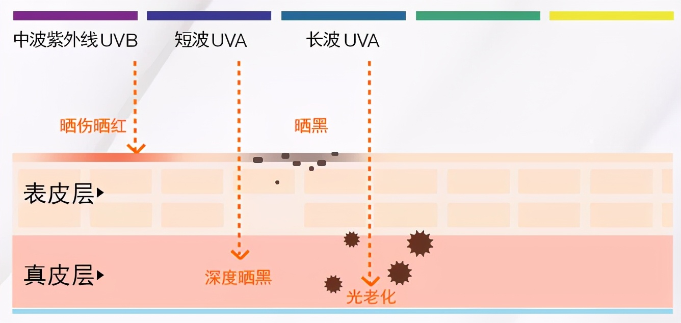 全网超火的防晒测评,防晒爆款榜第一