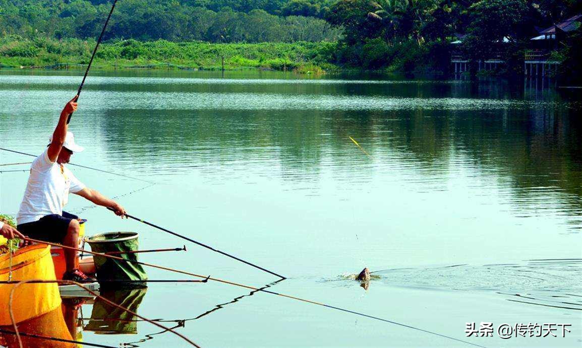 自制饵料须要注意什么细节,自制饵料基础方法有哪些