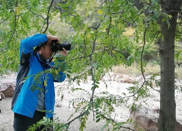 明星来迁安,来迁安的明星