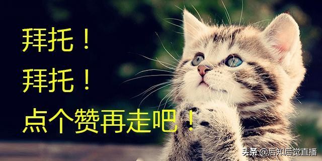 当日开盘价低于昨日开盘价怎么看,开盘价几点产生