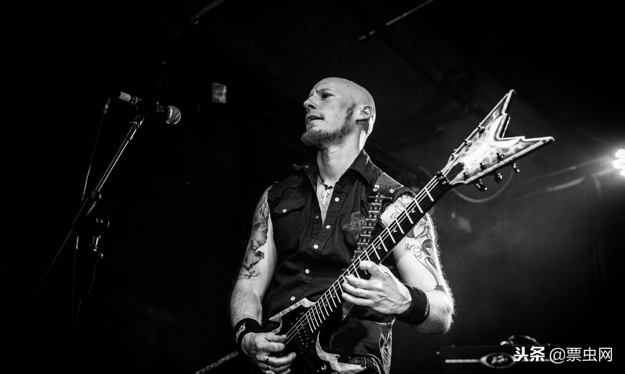 沼泽之王全集,沼泽之王kalmah