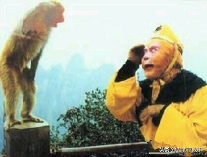 26张活久见的图片看完又涨知识了,42张照片大图