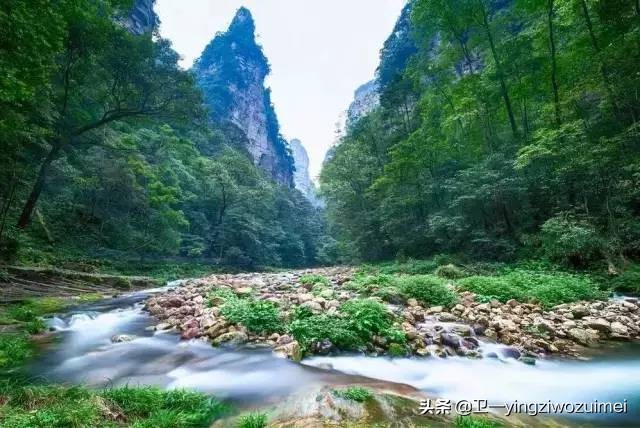 张家界旅游费用多少详细省钱攻略,张家界国家森林公园旅游详细攻略
