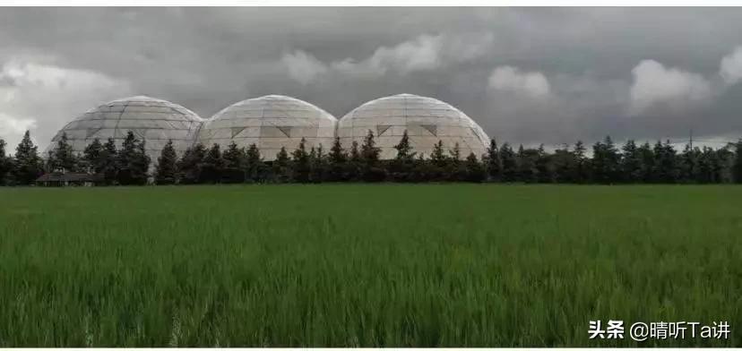 疫情不严重了口罩还能卖吗,疫情发生后我应该怎么办