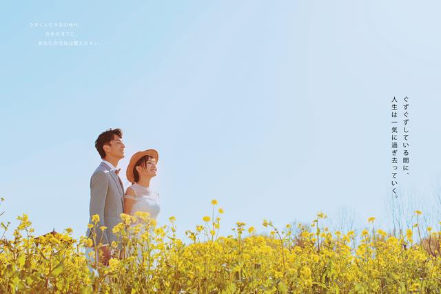 婚纱照风格推荐客片分享,婚纱照欣赏客片