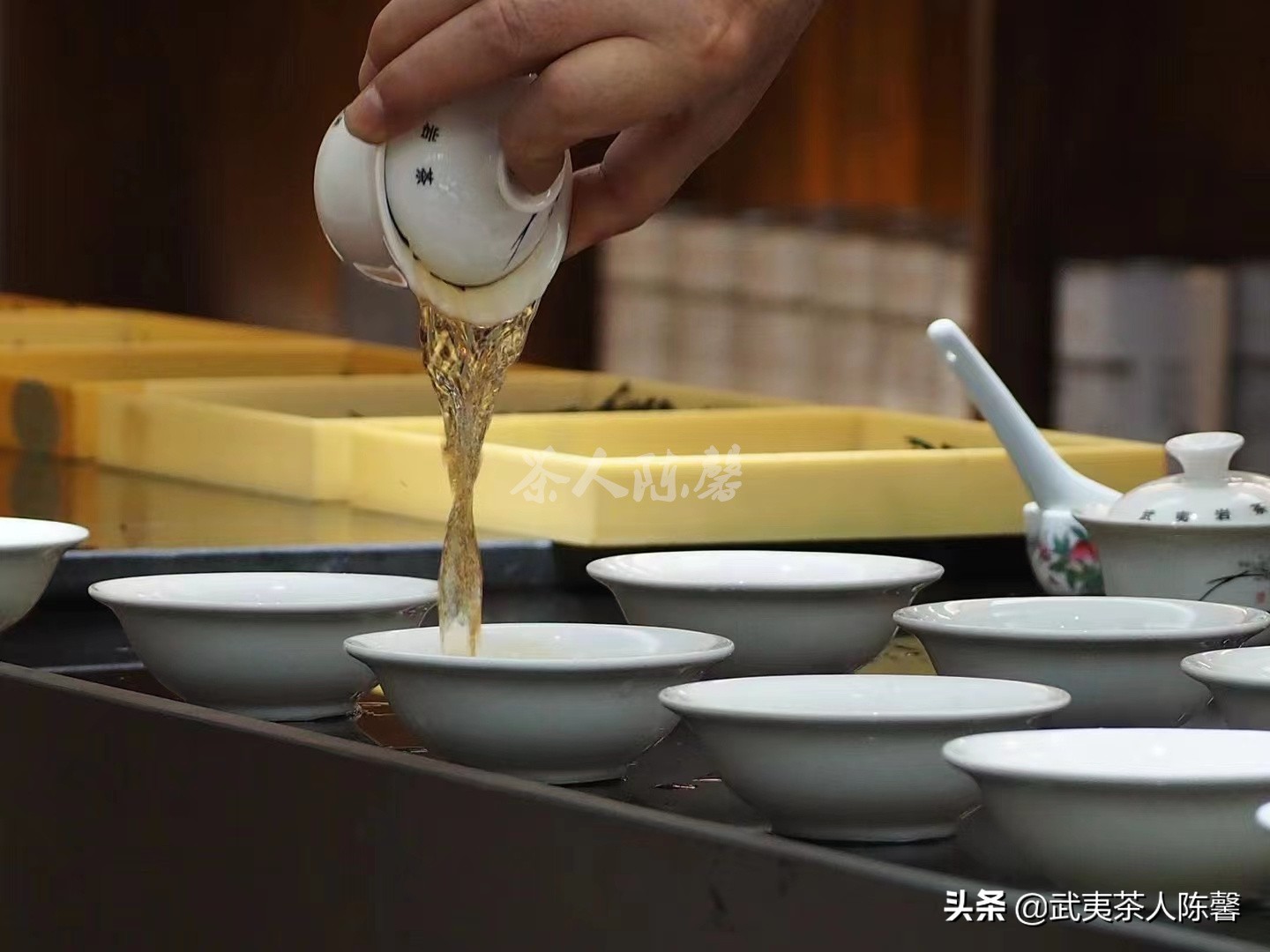 会苦涩的茶一定不好吗,是不是苦涩度低的茶就是好茶