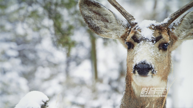 viewsonic优派px748-4k,viewsonic优派投影仪