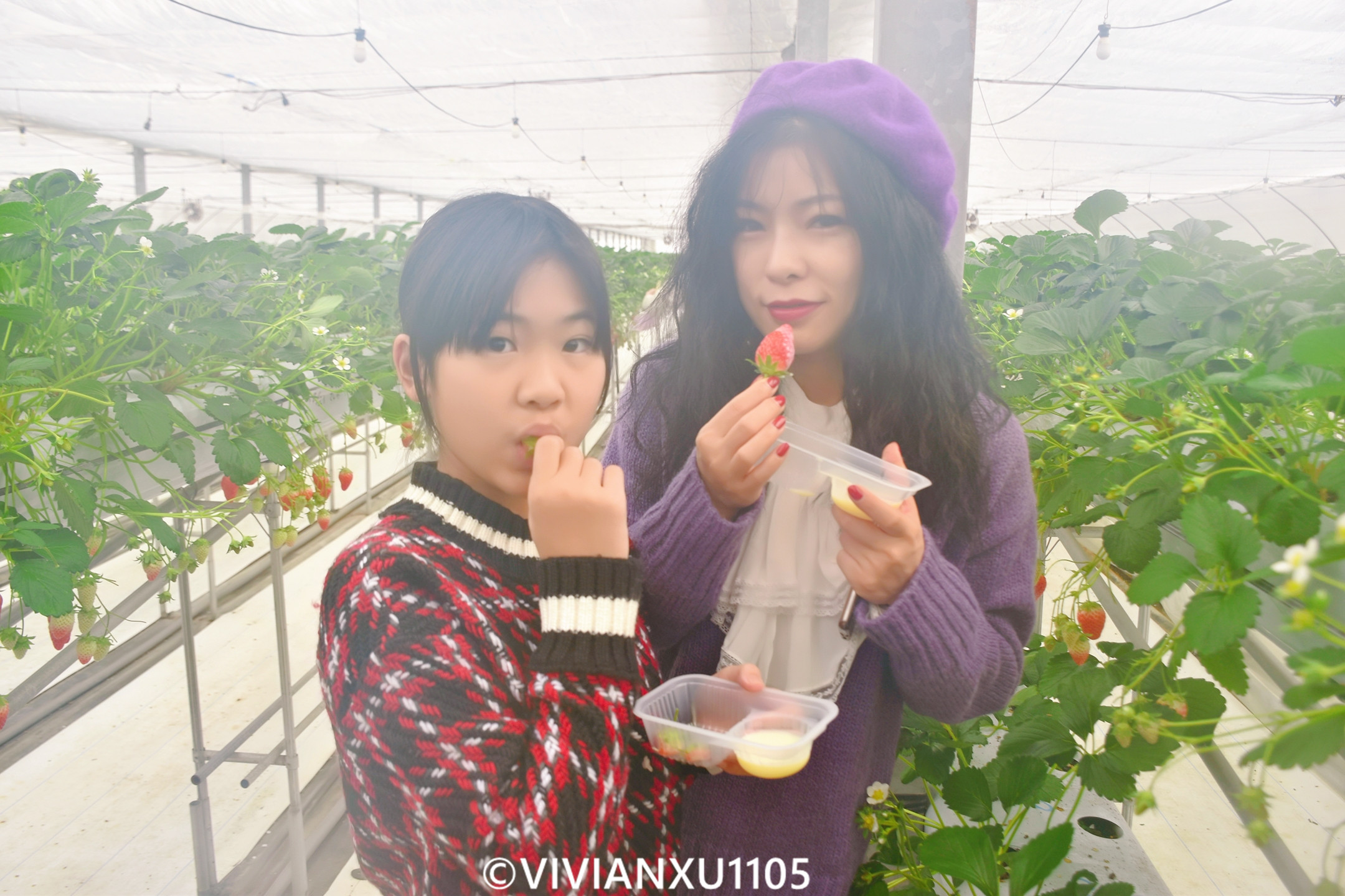 塑料母女深度解锁日本东北秋田县山形县