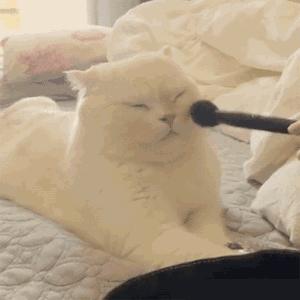 隔离的说说,隔离说说