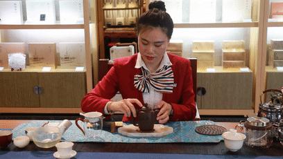 福鼎白茶还有“十不采”规定？让我们去河山有机茶园一探究竟